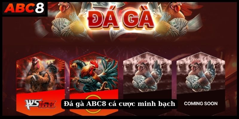 Đá gà ABC8 cá cược minh bạch